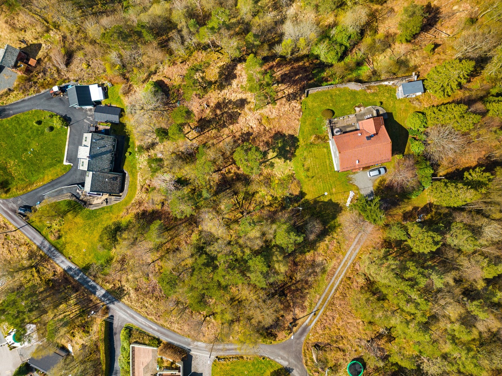 Rett ned på tomten Galleribilde