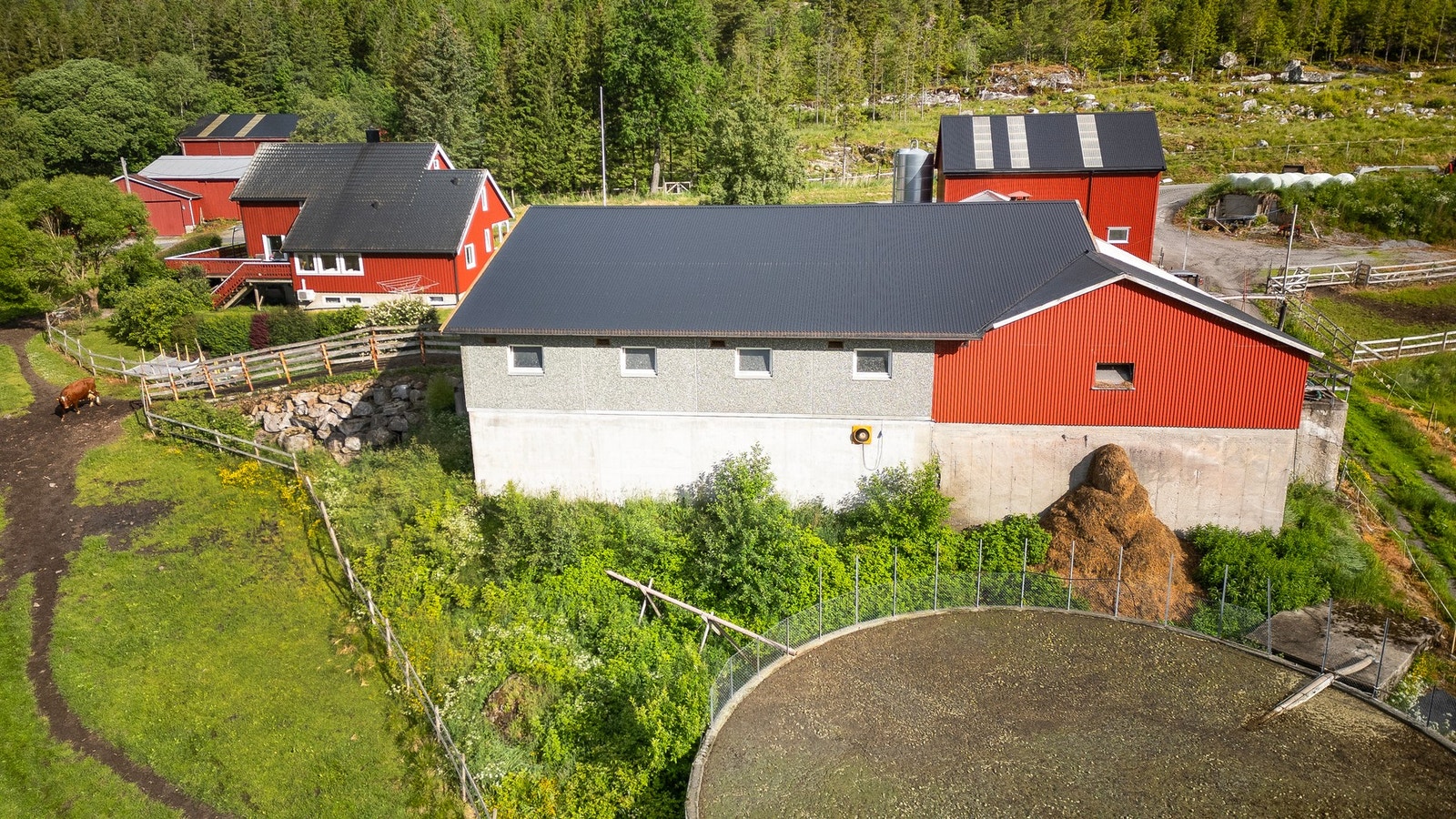 Driftsbygning for melk med utvendig gjødselkum Galleribilde