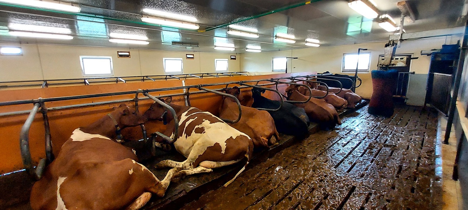 Privat bilde Galleribilde