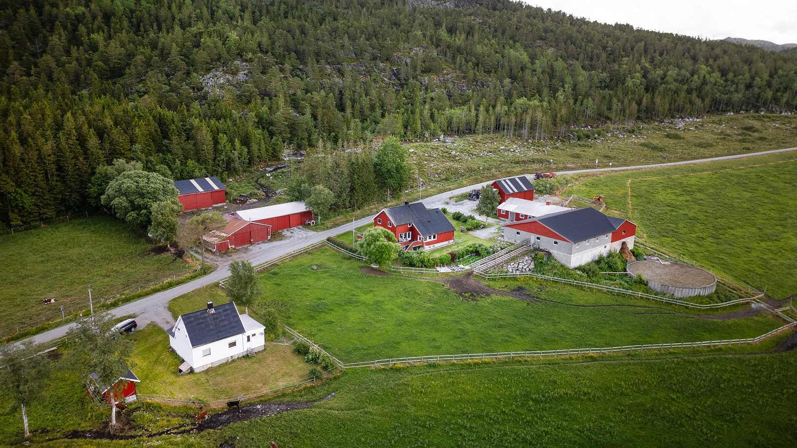 Melkeproduksjon i løsdriftsfjøs, og selveid kvote på 270 048 liter. Galleribilde