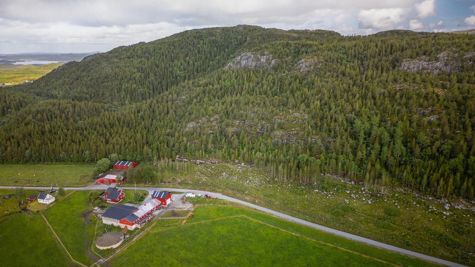 Det er jaktrett på eiendommen Galleribilde