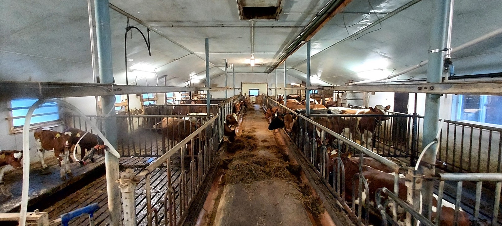 Privat bilde Galleribilde