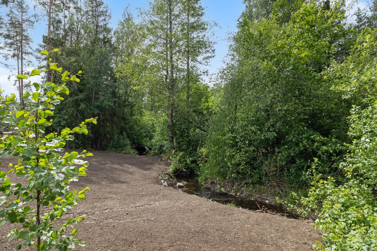 Det er umiddelbar nærhet til skog og mark Galleribilde