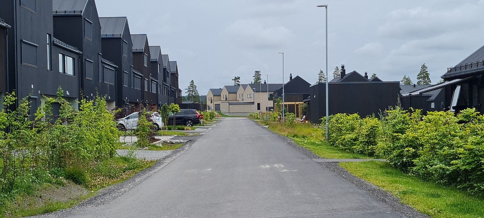 Selgers bilde av gata. Galleribilde