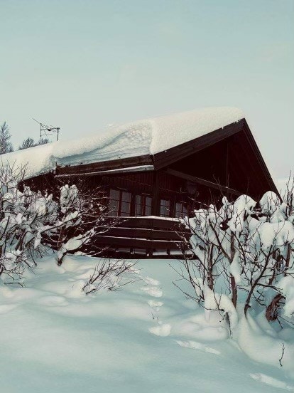 Selgers eget foto. Galleribilde