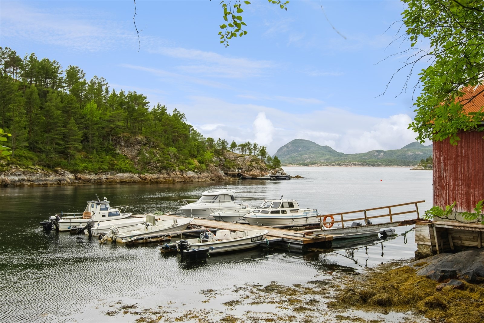 Med båt kan man utforske de mange holmene i fjorden. Galleribilde