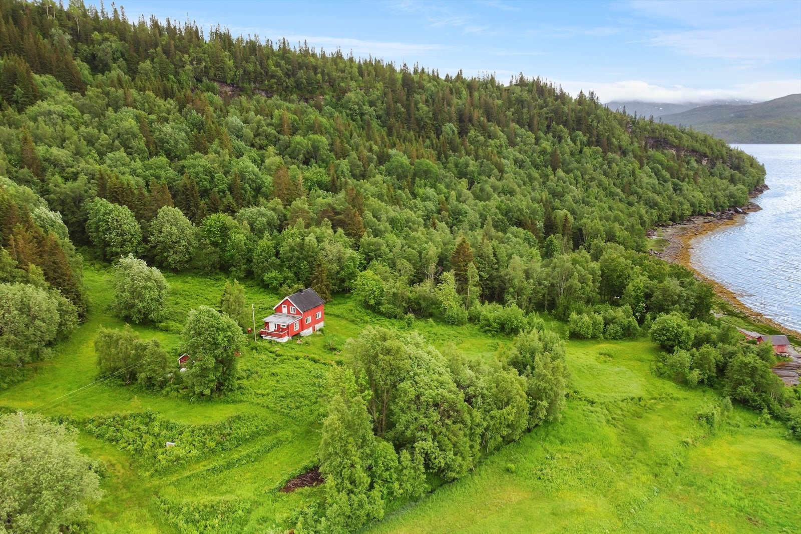 Flott natur i umiddelbar nærhet. Galleribilde