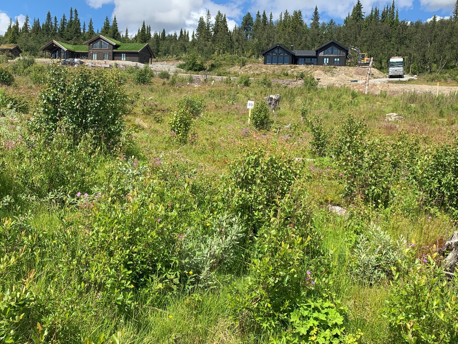 Mykinghøgde 69 - tomt 89
Pris kr 1,3 mnkr + omk Galleribilde