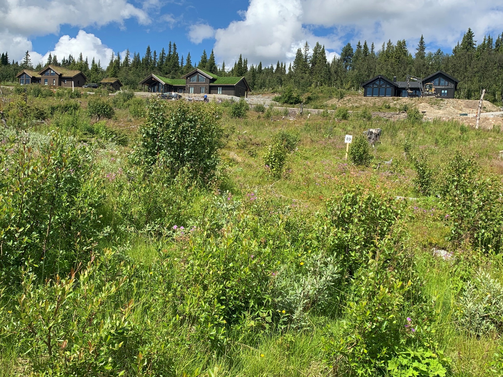 Mykinghøgde 69 - tomt 89
Pris kr 1,3 mnkr + omk Galleribilde