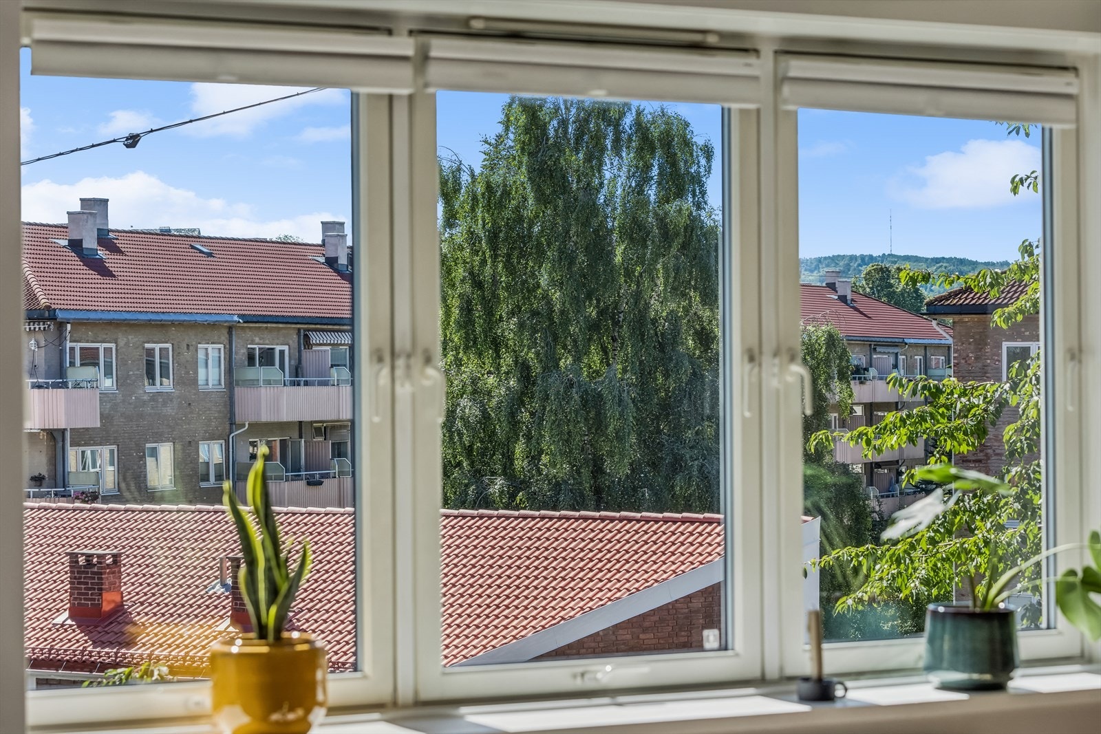 Store vinduer i stue som slipper inn rikelig med naturlig lys. Galleribilde