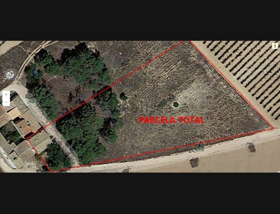 Tomteplassering i forhold til huset. Galleribilde