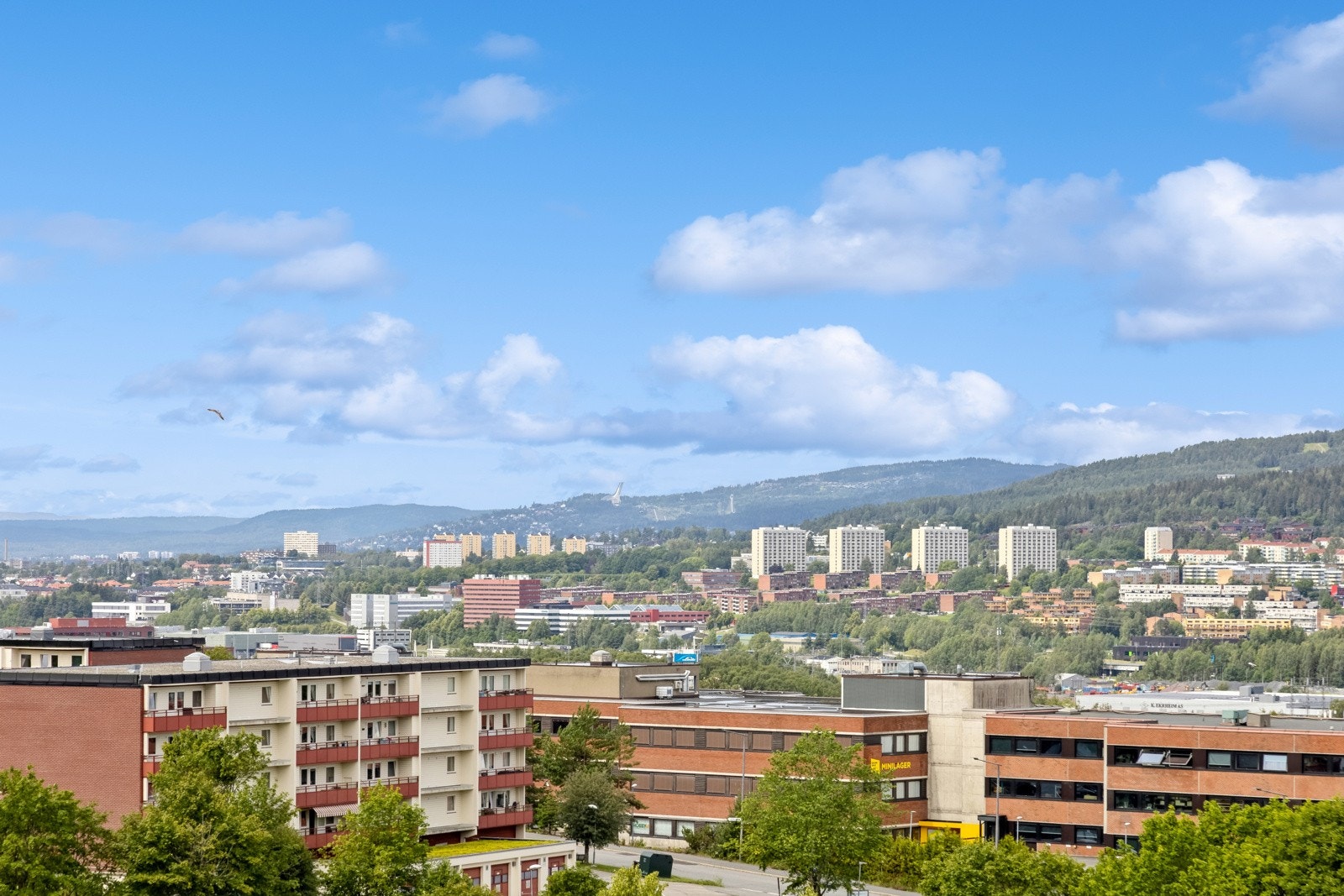 Fantastisk utsikt Galleribilde