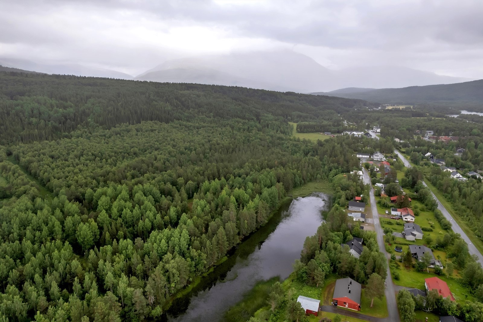 Flotte turmuligheter rett utenfor døra Galleribilde
