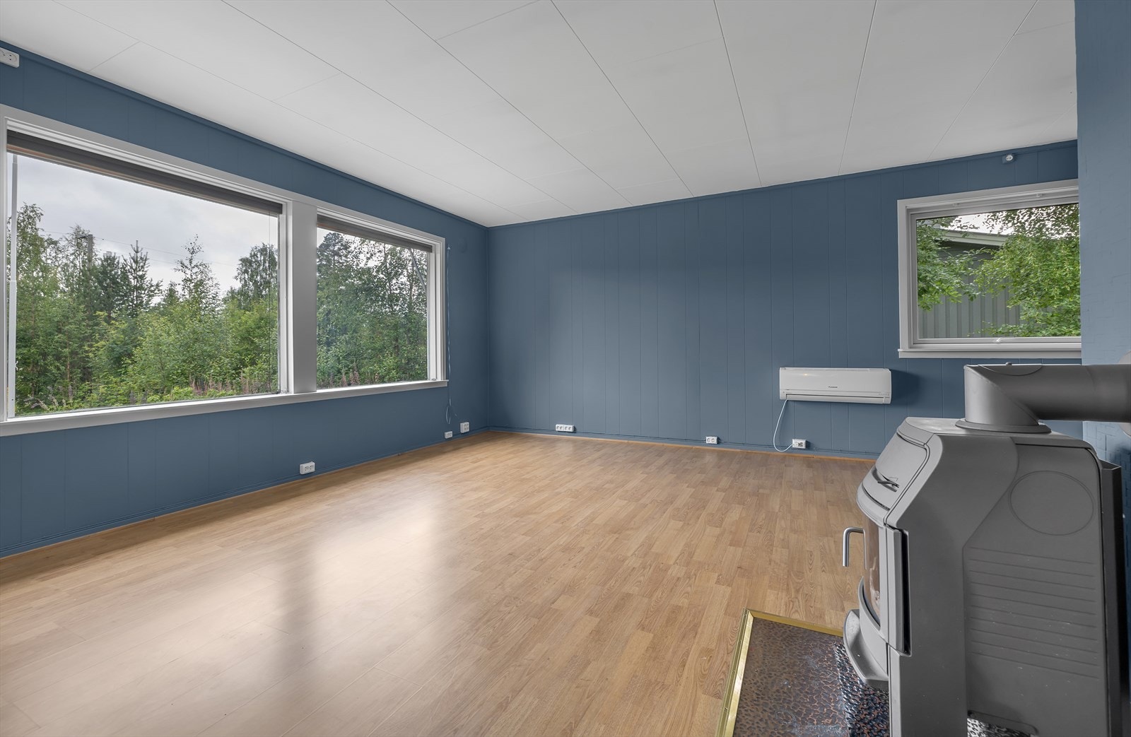 Plass til både spisestue og sofa Galleribilde