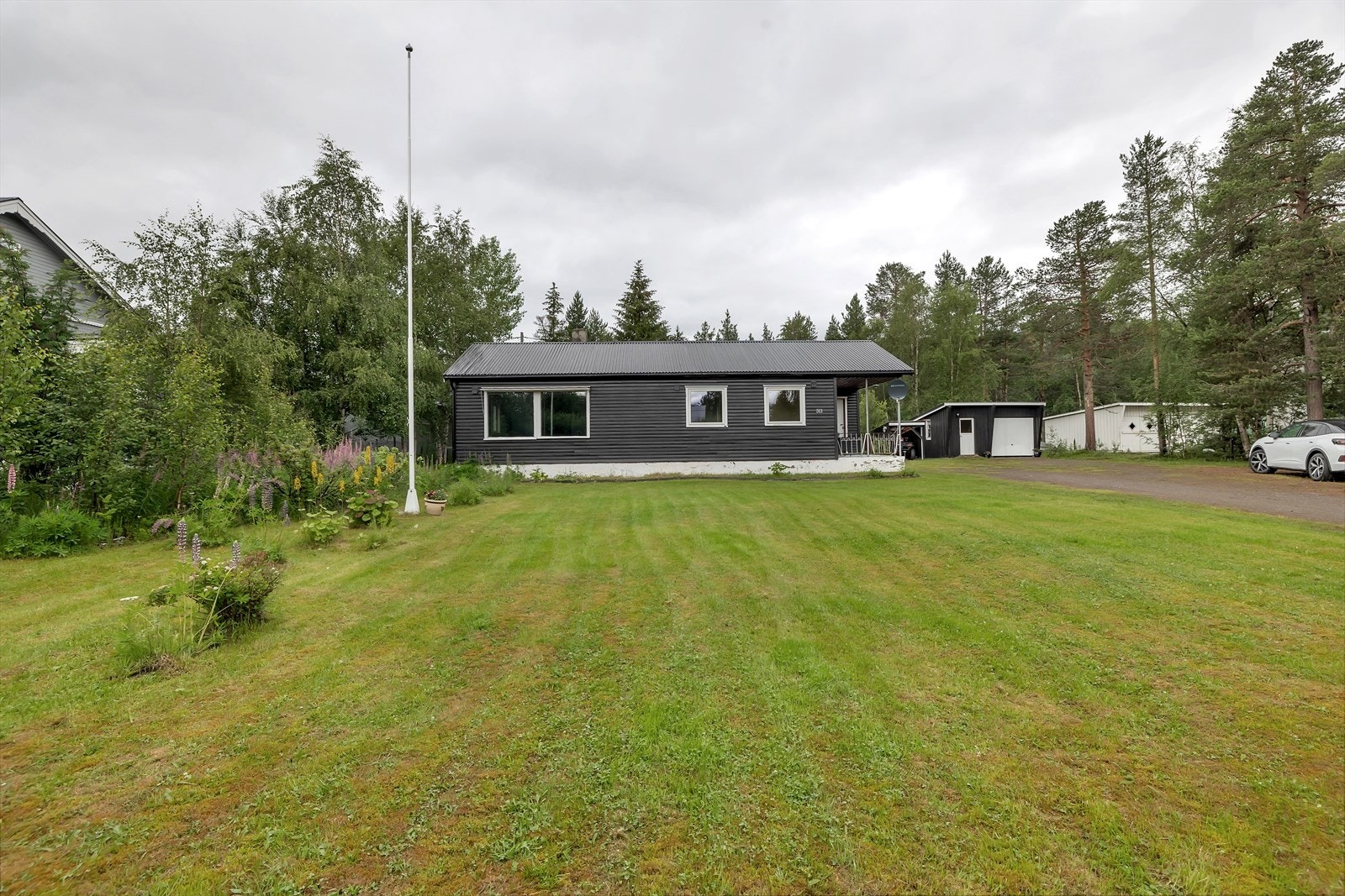 Stor plen i forkant Galleribilde