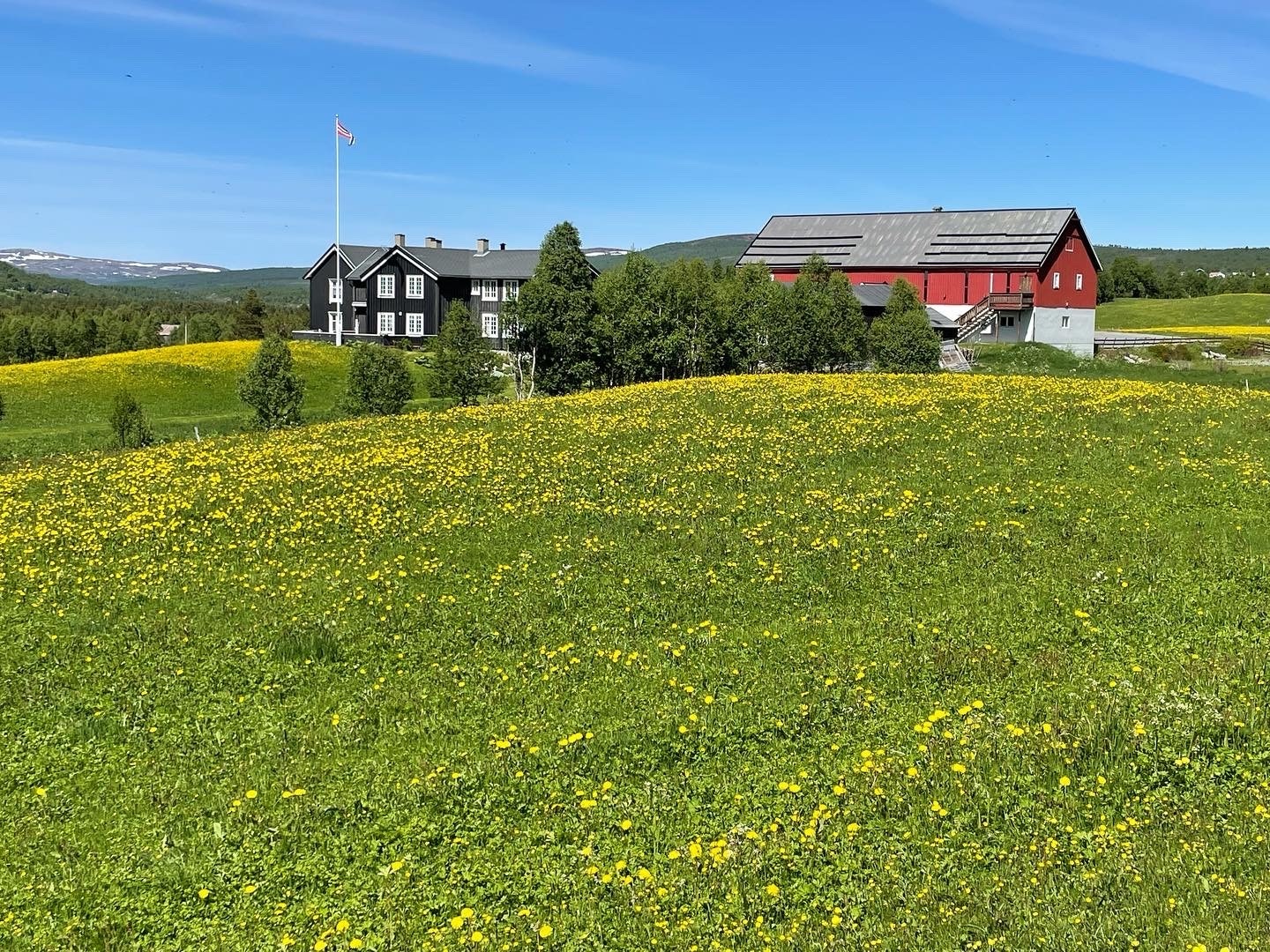 Sommer på Glåmos. Gården Vintervollen med Fjøsakademiet. Gården ligger 5 minutter fra hyttefeltet. Galleribilde