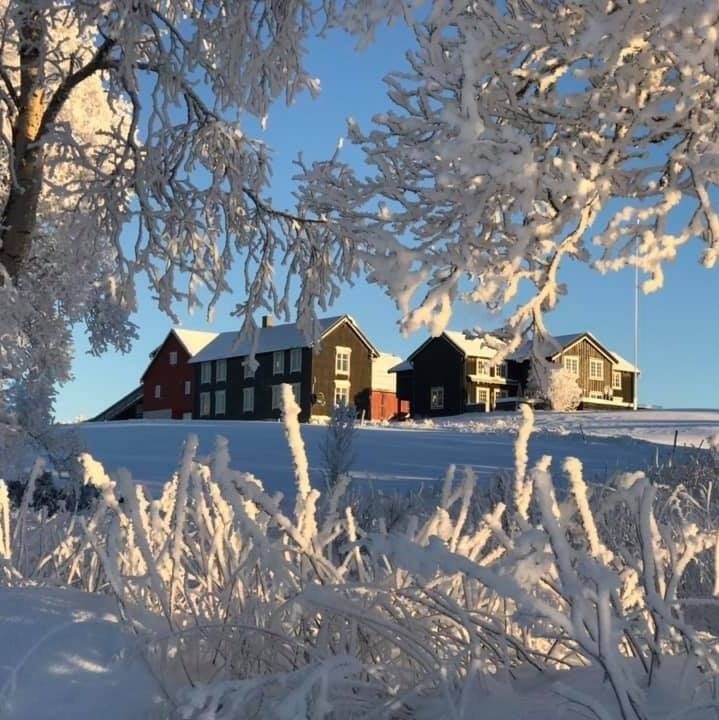 Gården på Vintervollen. Galleribilde