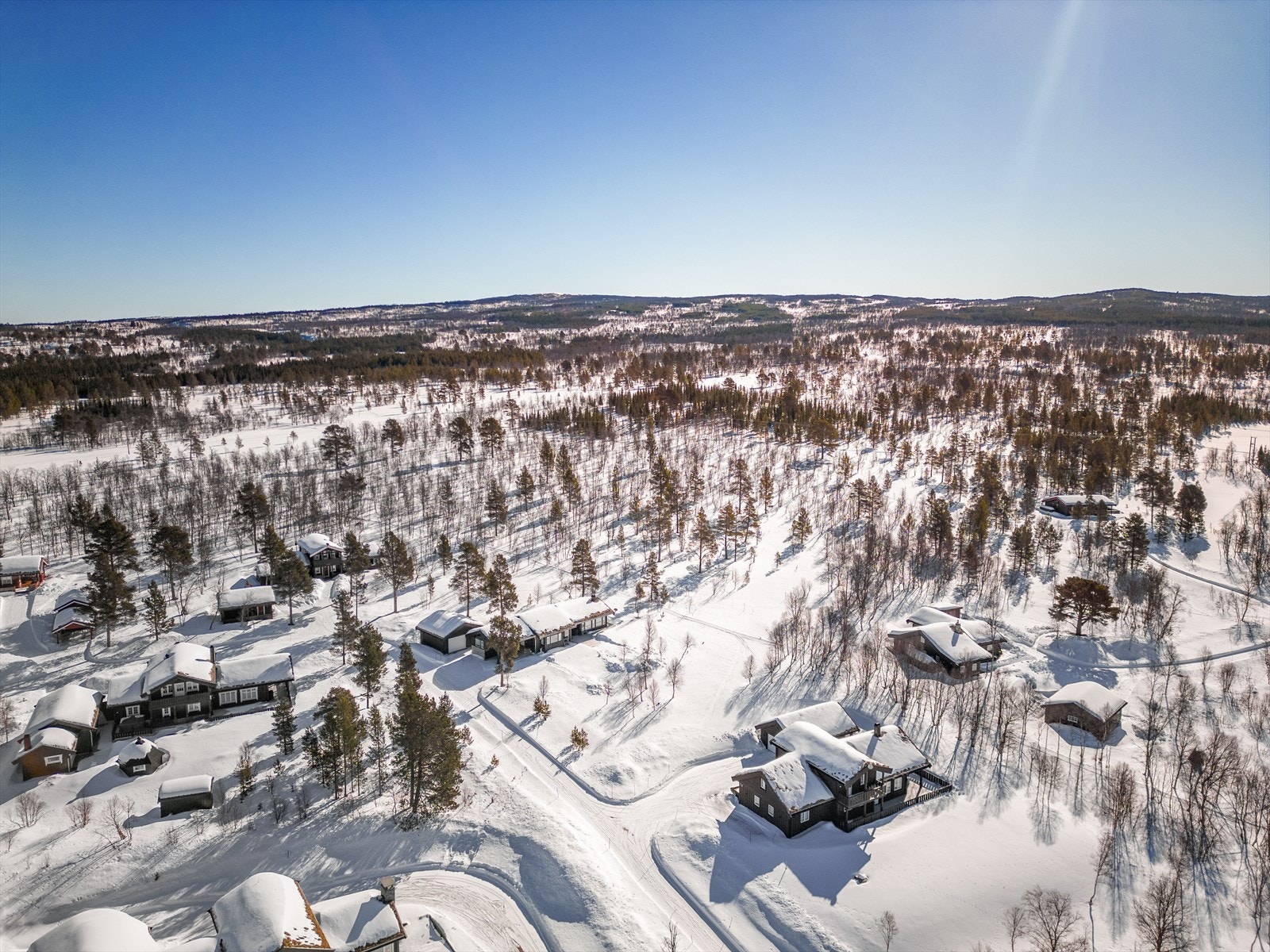 Vinterbilde av feltet. Galleribilde