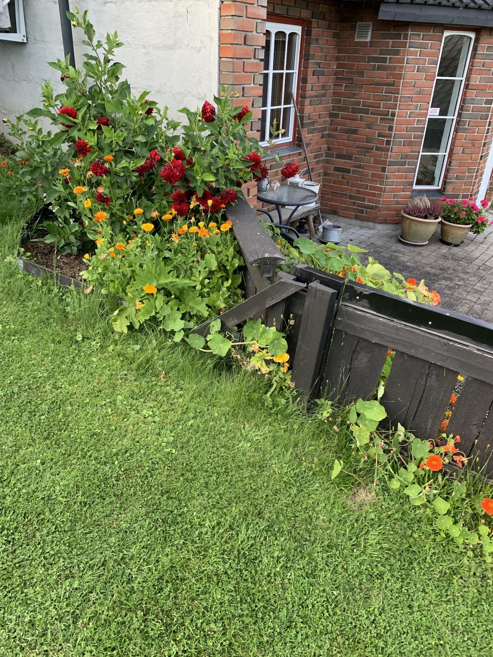 Privat sommerbilde. Galleribilde