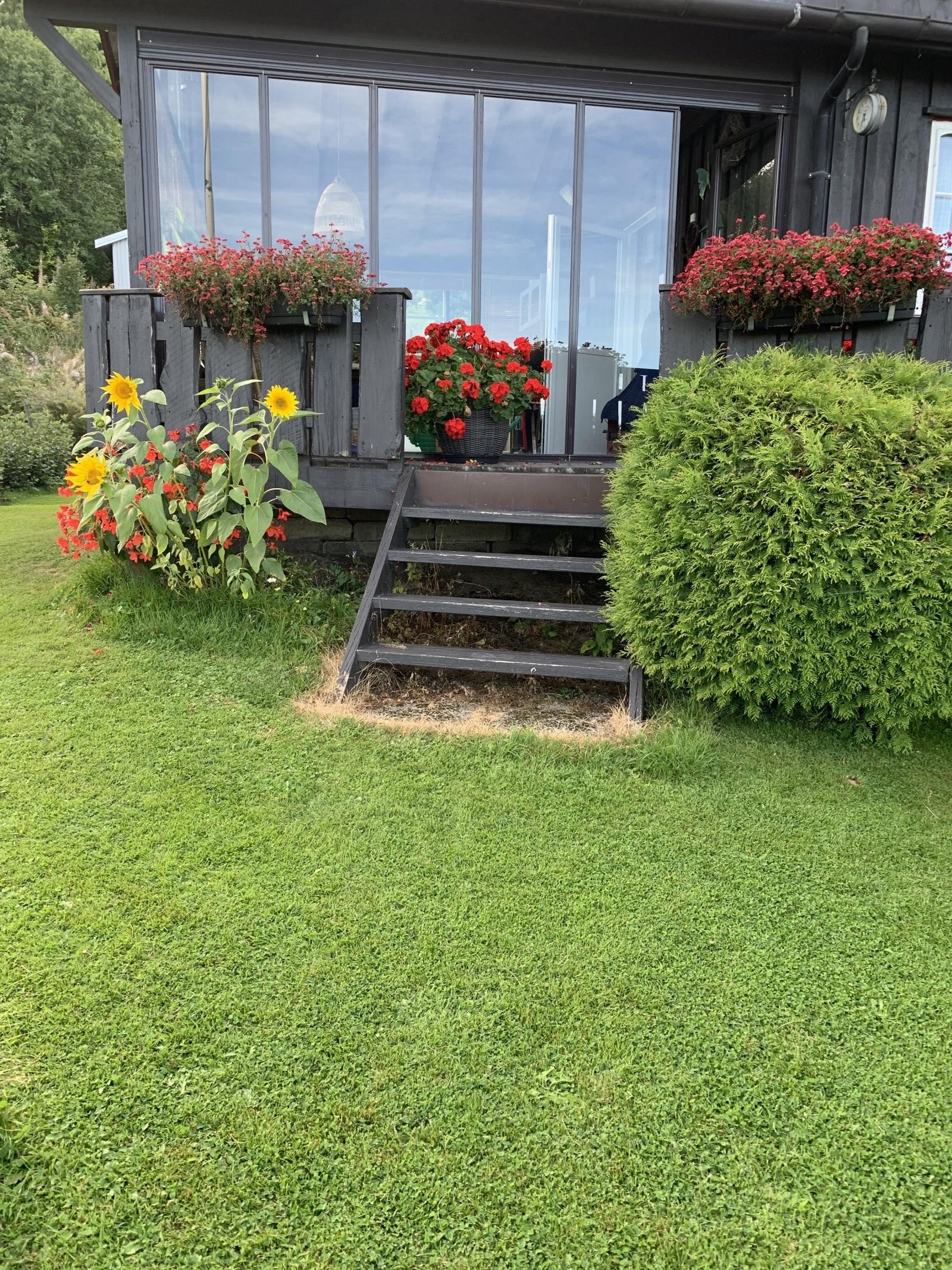 Privat sommerbilde. Galleribilde