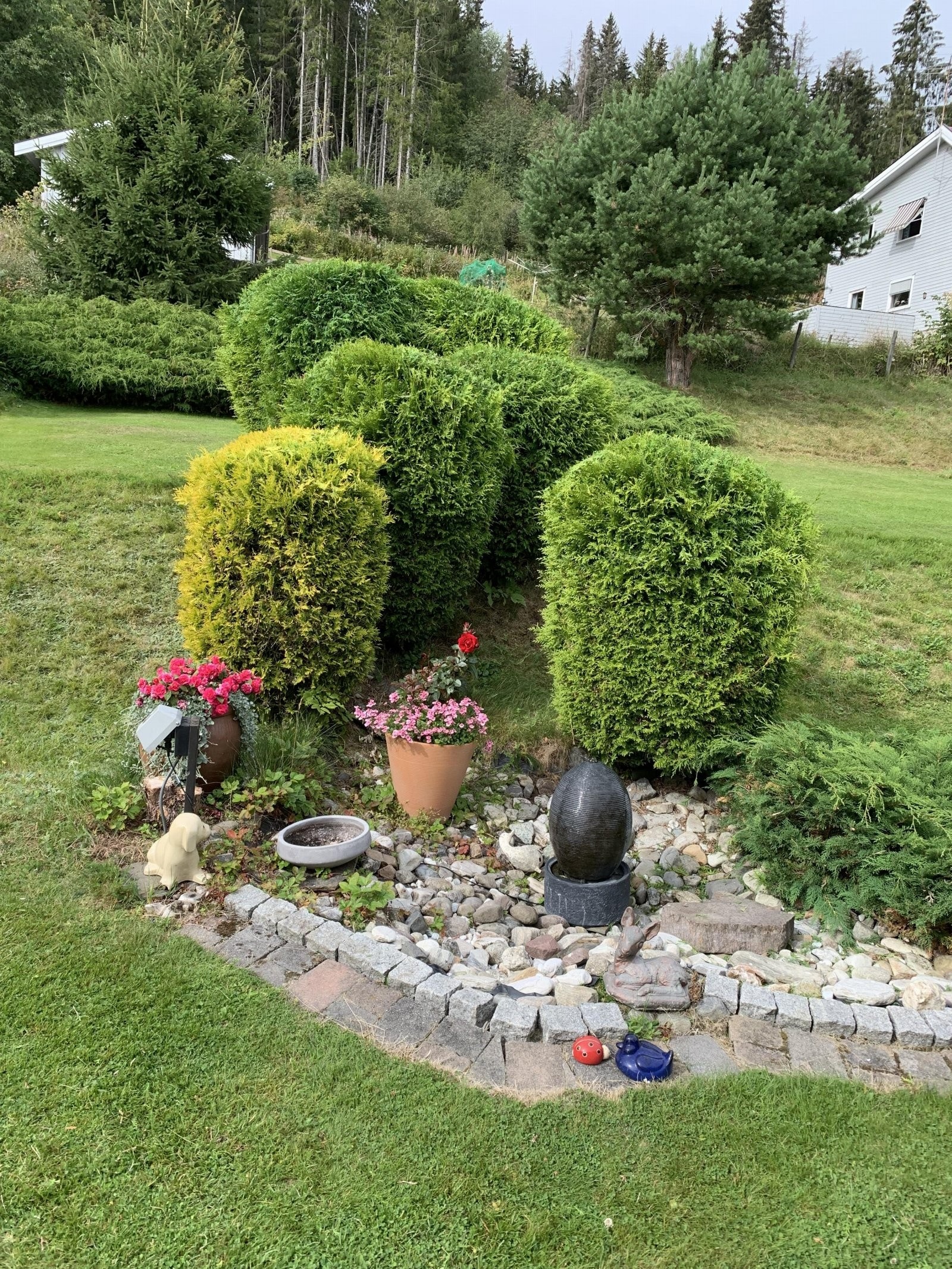 Privat sommerbilde. Galleribilde