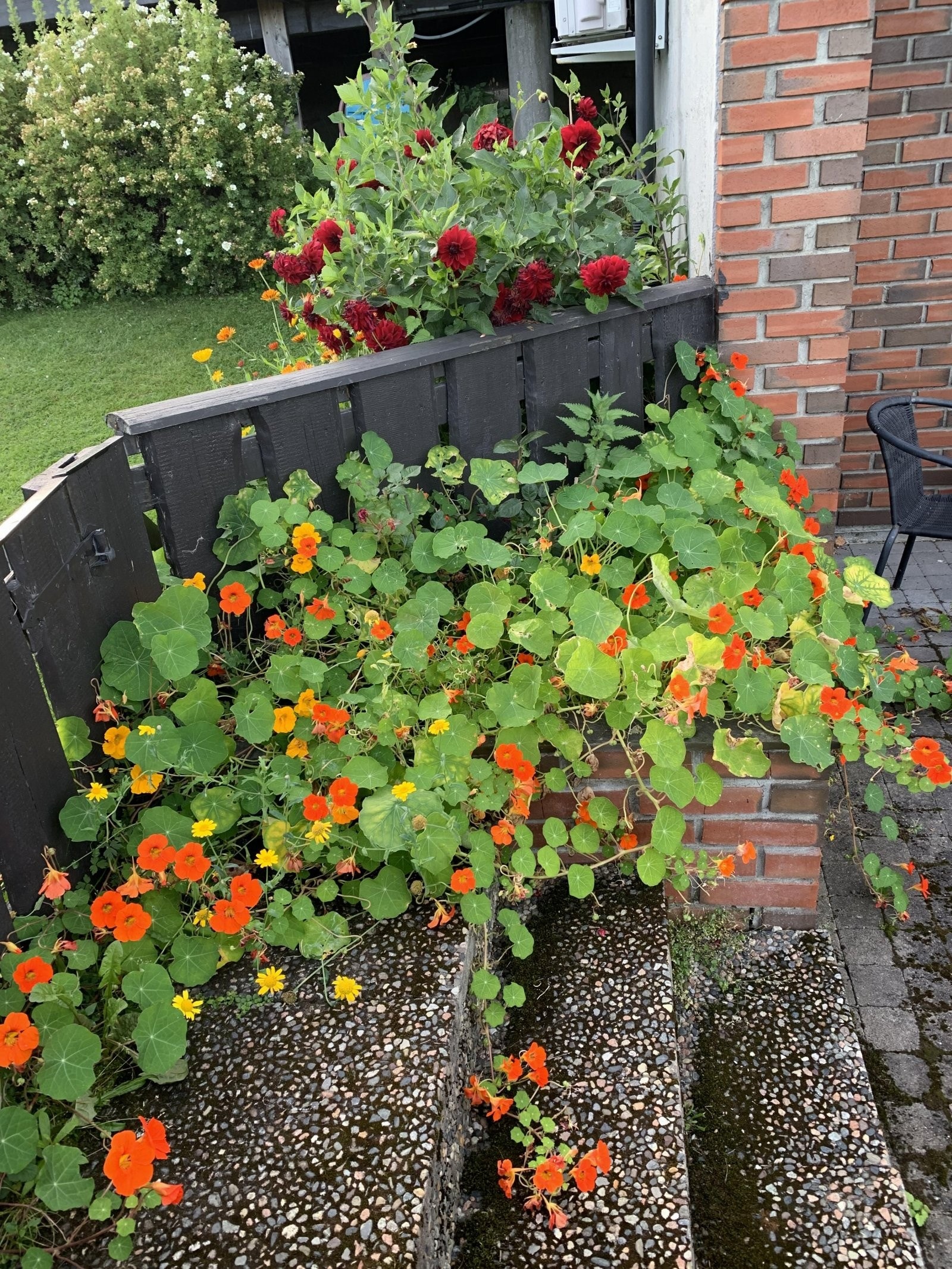 Privat sommerbilde. Galleribilde