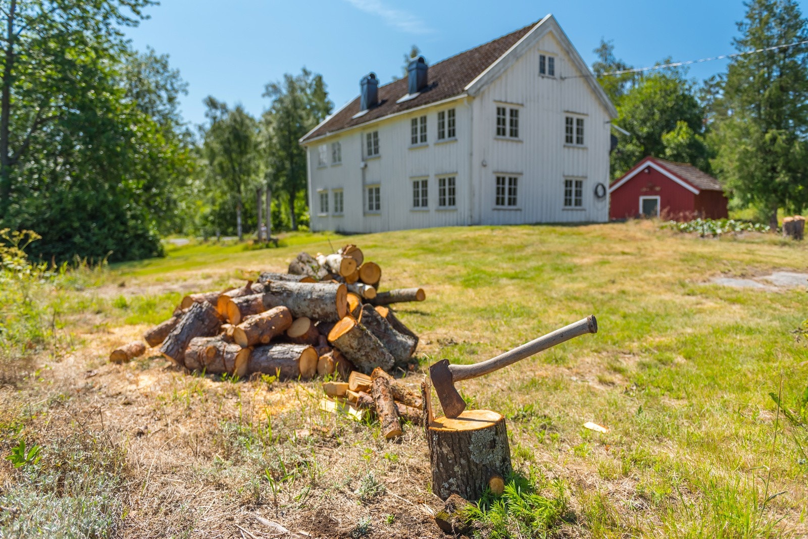 På eiendommen er man selvforsynt med ved i overskuelig fremtid. Galleribilde