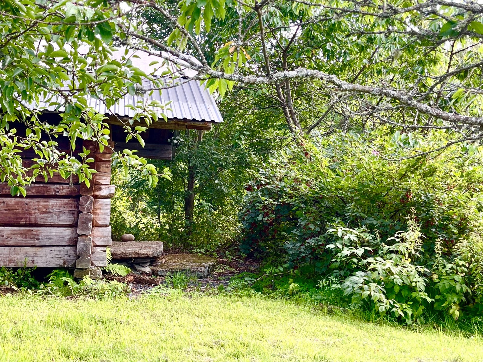 Laftestue bilde 2 Galleribilde