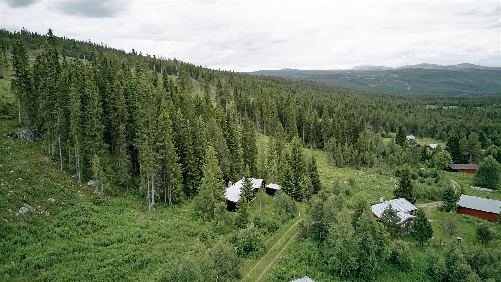 Umiddelbar nærhet til naturen og fine turområder. Galleribilde