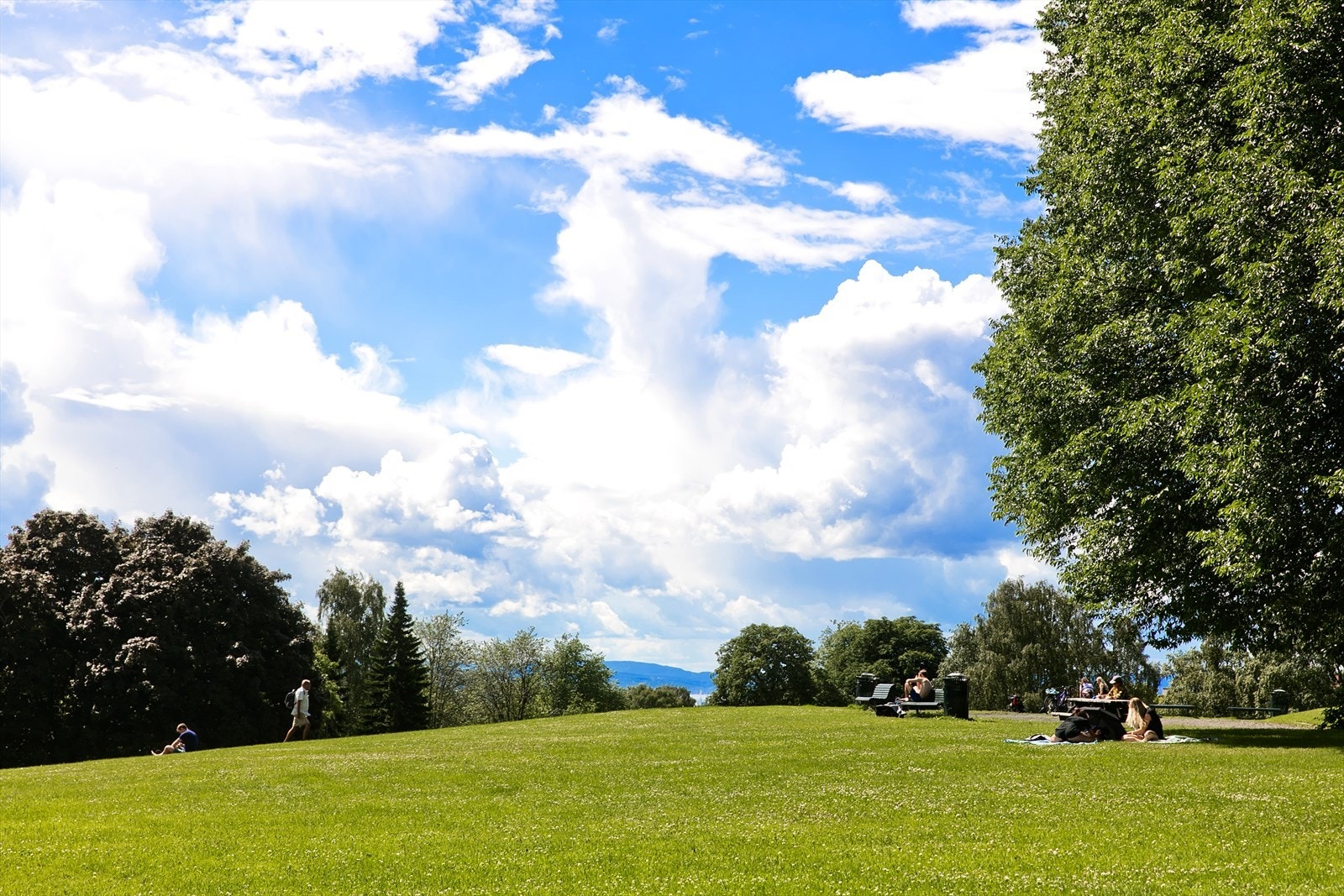 Et steinkast unna finner du flotte Torshovparken hvor du kan nyte sola og koselig piknik Galleribilde