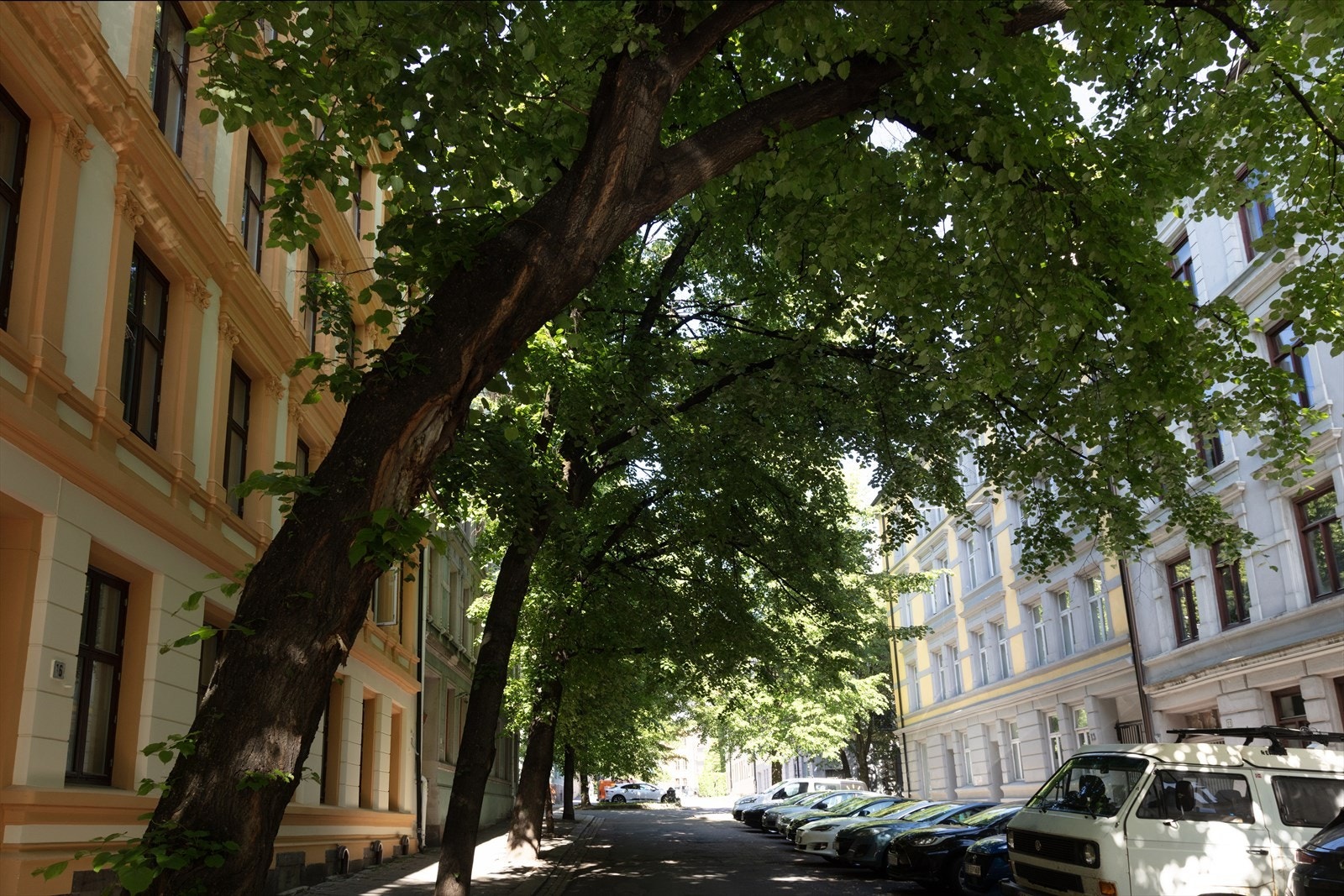 Nærområde Galleribilde