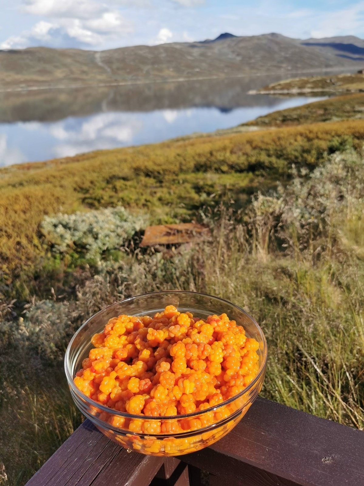 Selgers bilde fra terrasse. Galleribilde