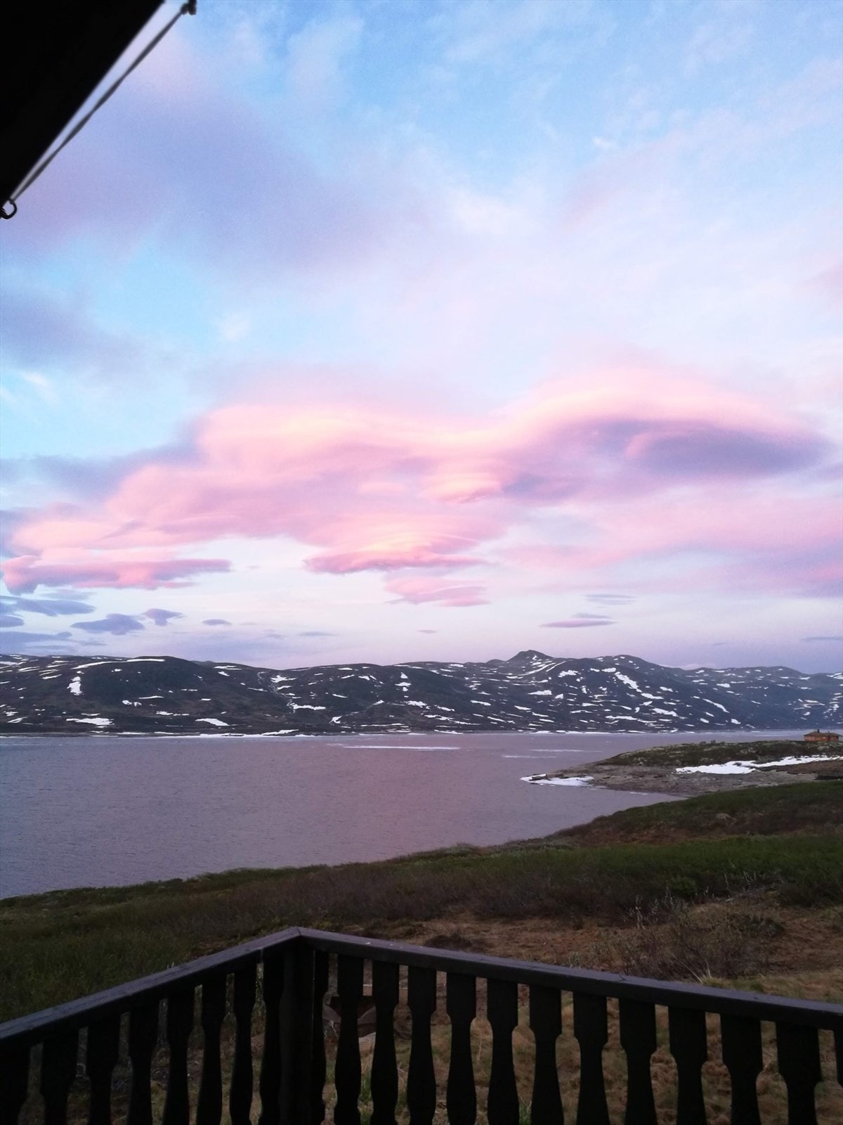 Selgers bilde. Galleribilde