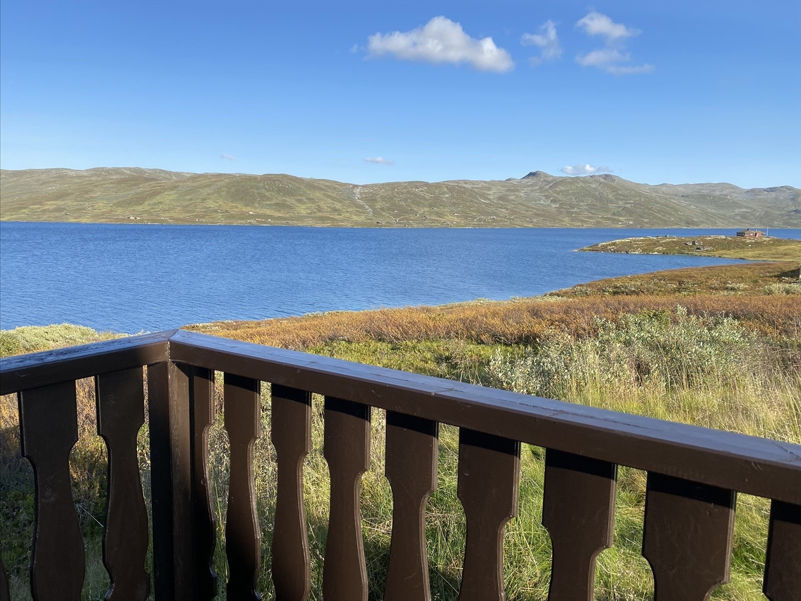 Selgers bilde. Galleribilde