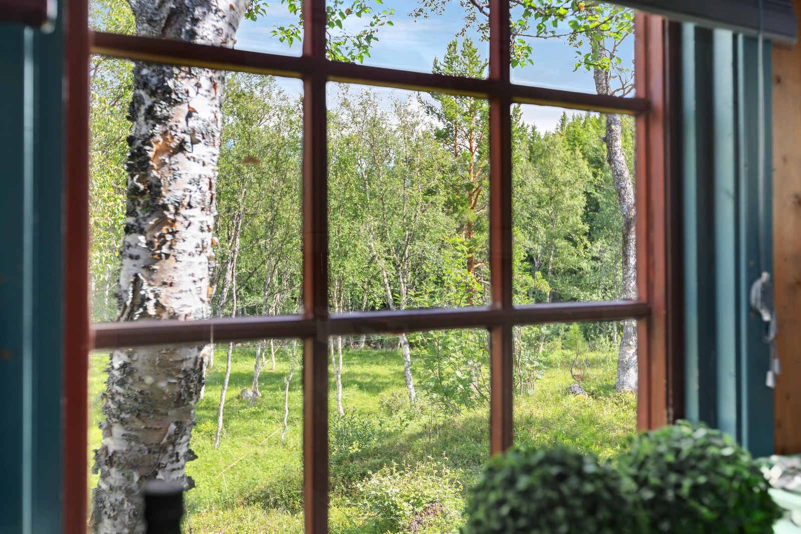 Velkommen til en trivelig visning! Galleribilde