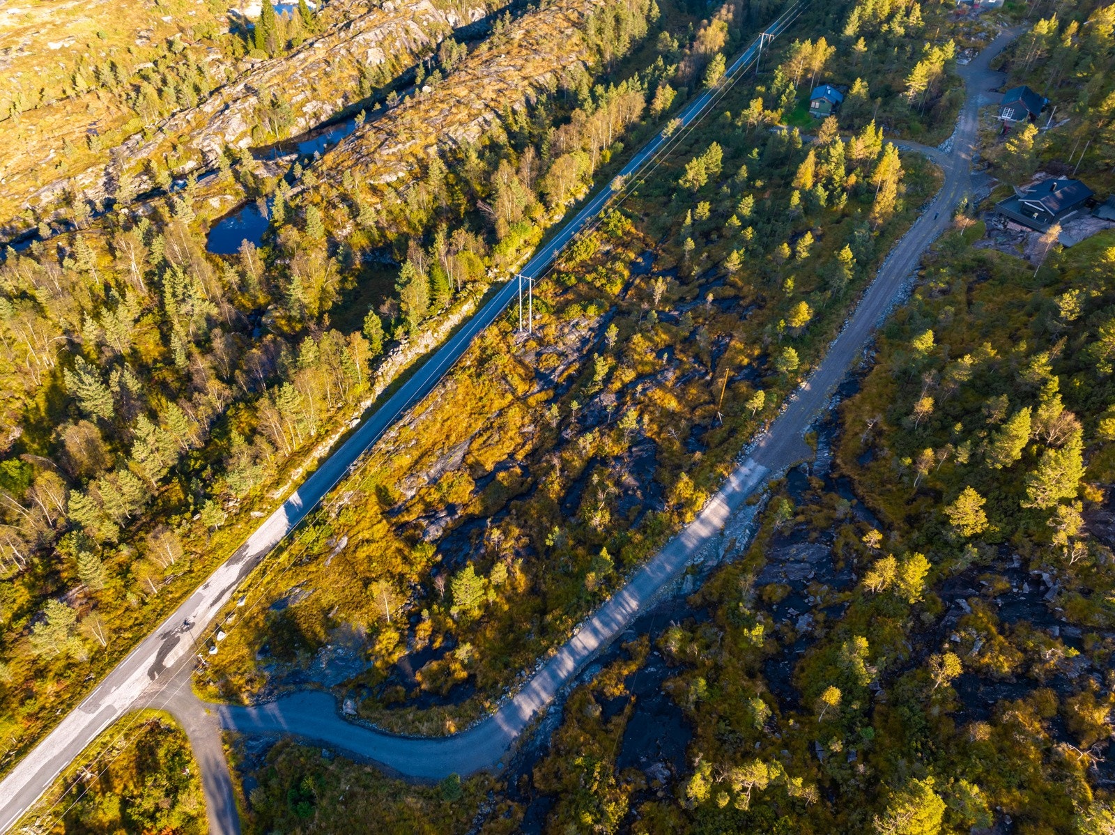 Oversiktsbilde Galleribilde