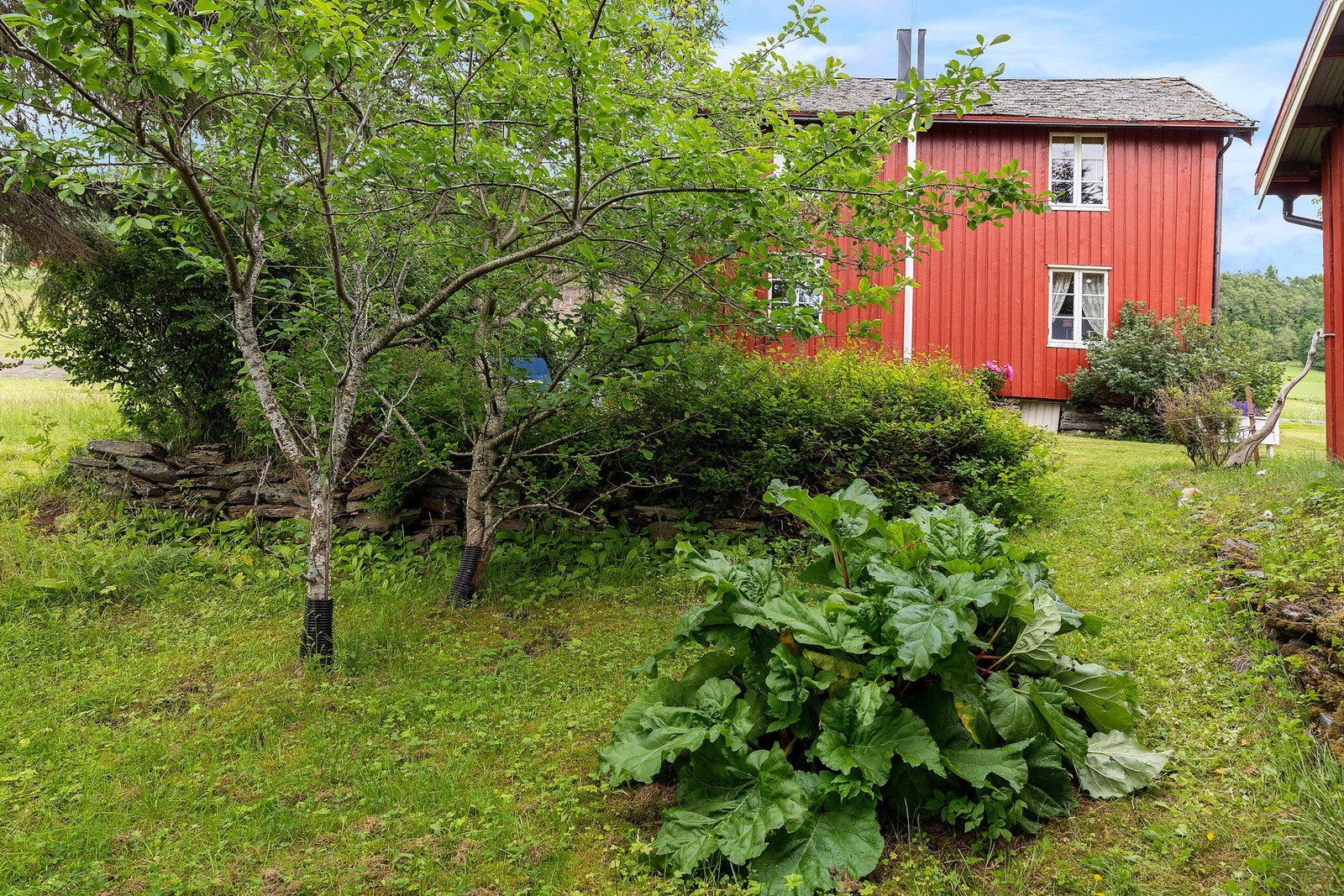 Hagen er beplantet med trær, busker, blomster, rabarbraplante, bærbusker, eple- og plommetre. Galleribilde