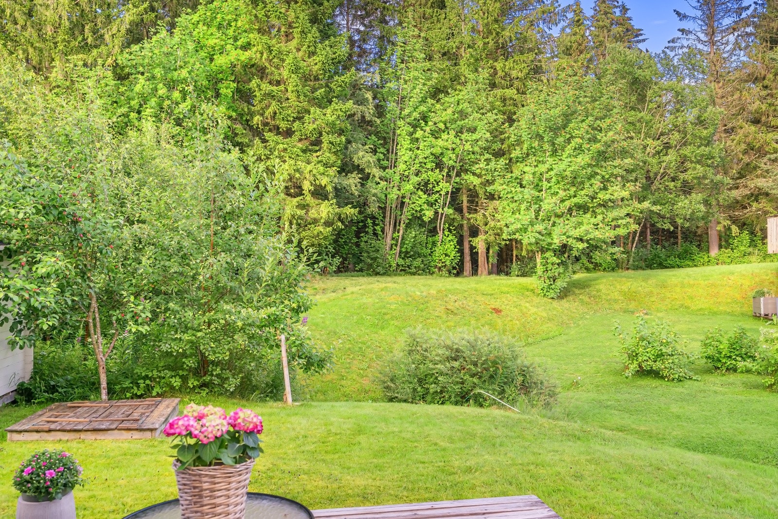 Nydelig utsikt til skog og mark. Galleribilde