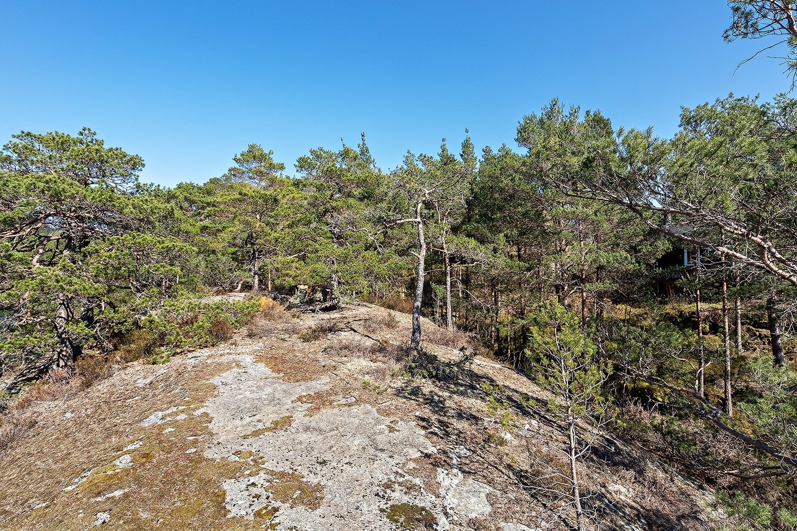 objpict_10526964885080_0.jpg Galleribilde