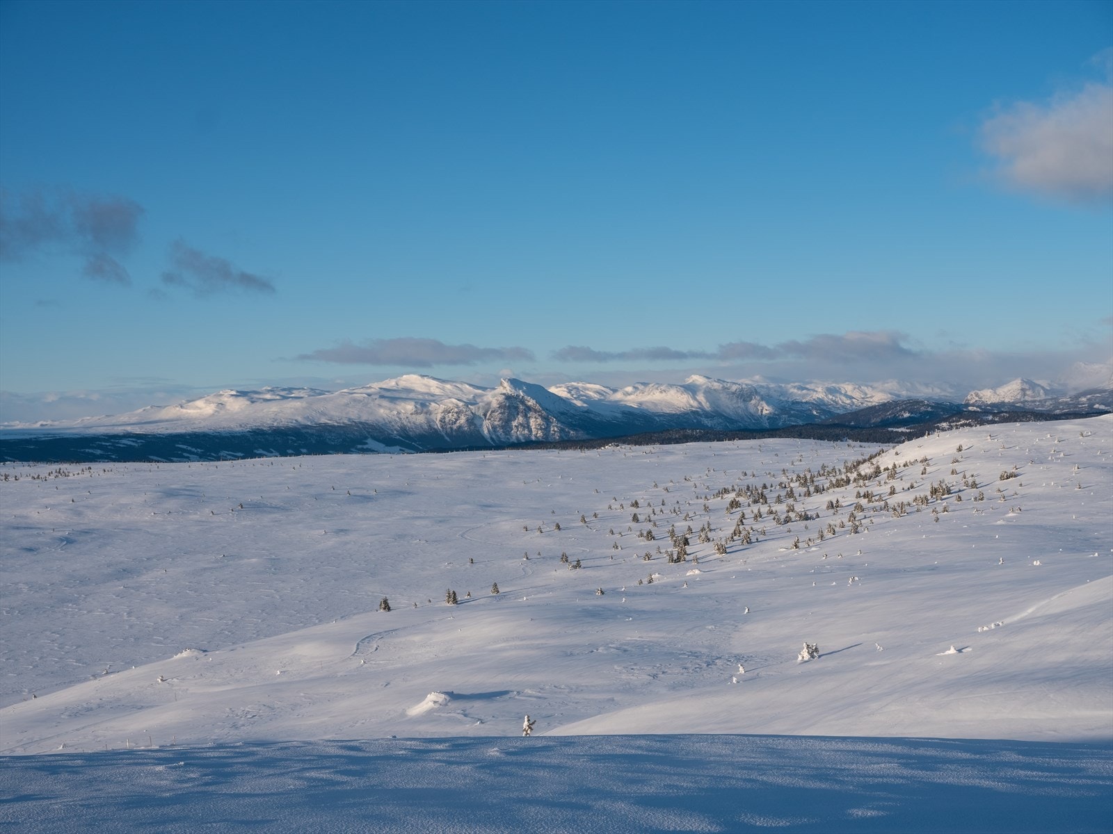 Knut Brusletto Golsfjellet Områdebilder sRGB 300px-3321.jpg Galleribilde