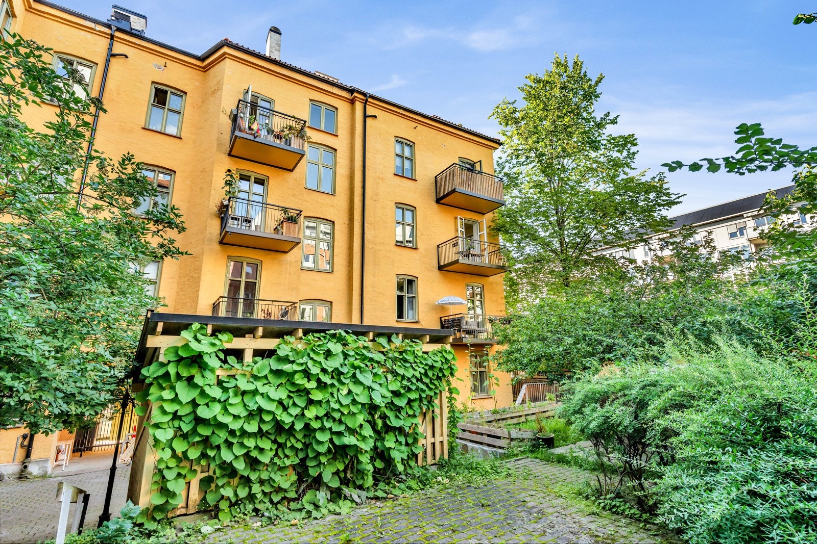 Pent opparbeidet felles bakgård. Galleribilde