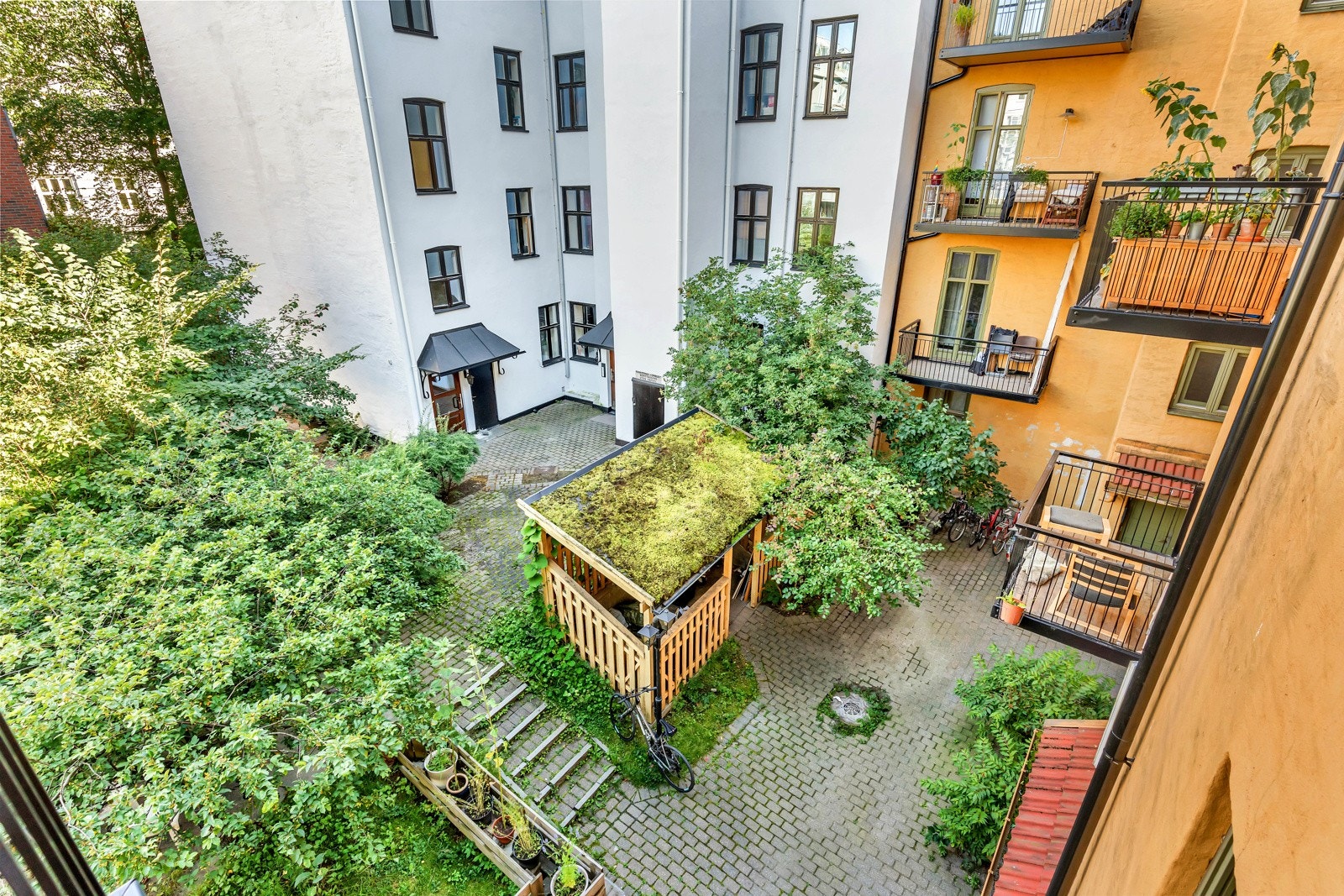 Pent opparbeidet felles bakgård. Galleribilde