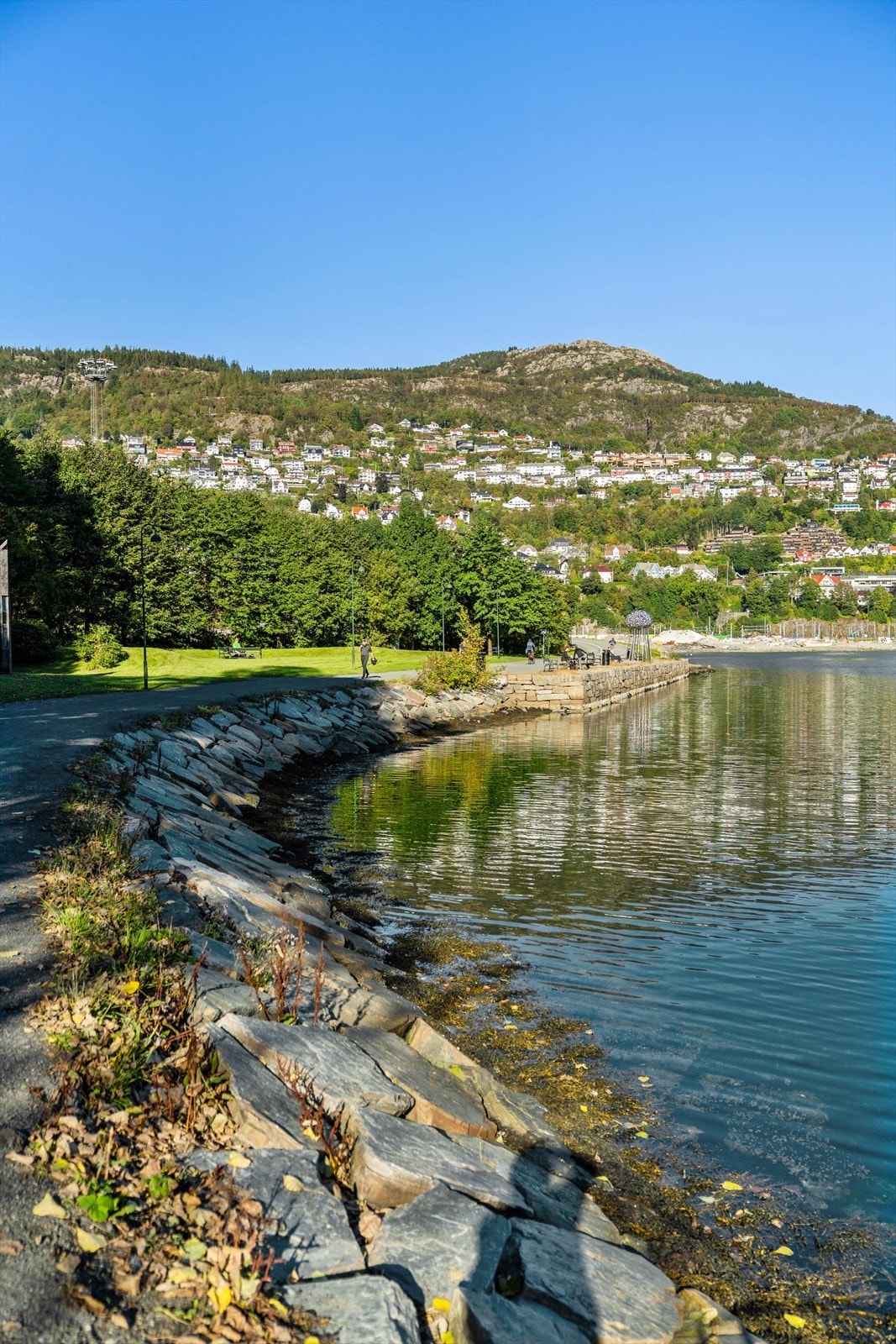 Flott tur løype rundt Store Lungegårdsvann. Galleribilde