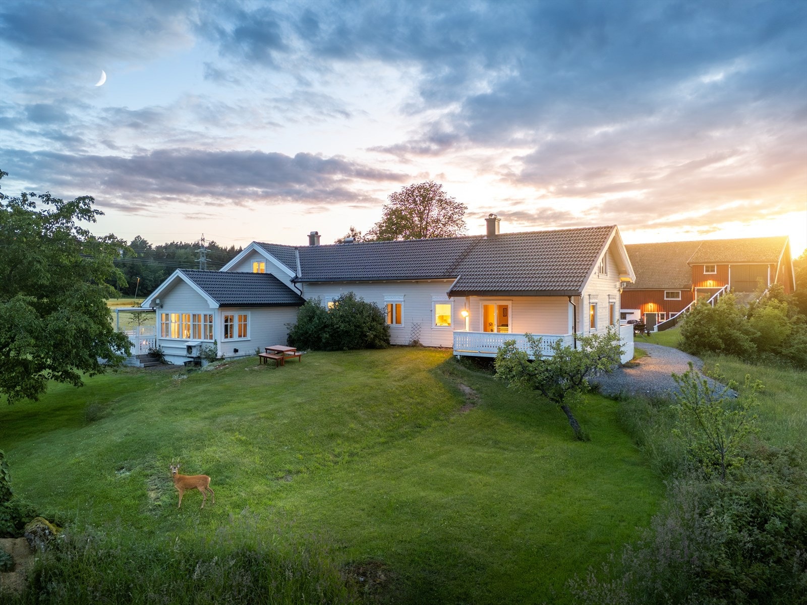 Rådyrene følger ofte sine faste stier, og sees oftest på Hovholt gård i skumringstidene, tidlig morgen og ettermiddag/kveld. Galleribilde
