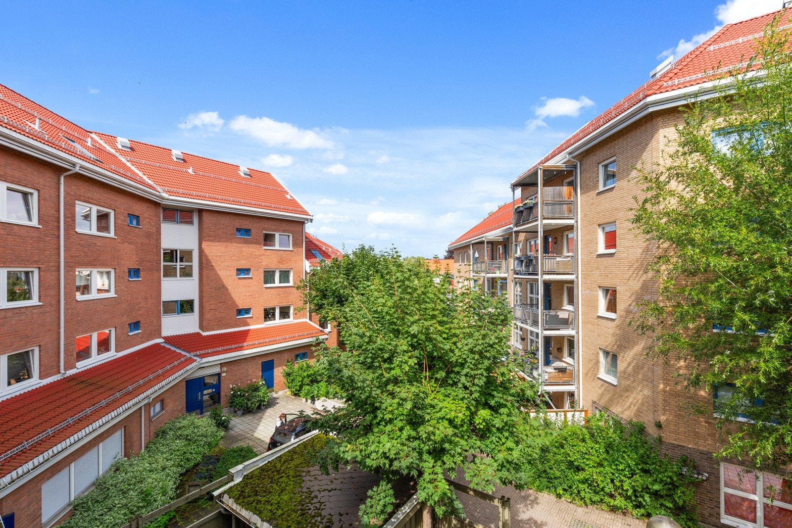 Utsyn utover frodig bakgård. Galleribilde