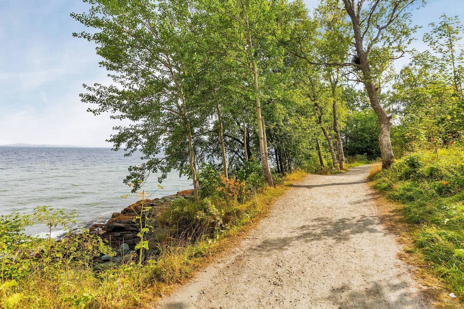 Ladestien er et populært turområde på Lade. Galleribilde