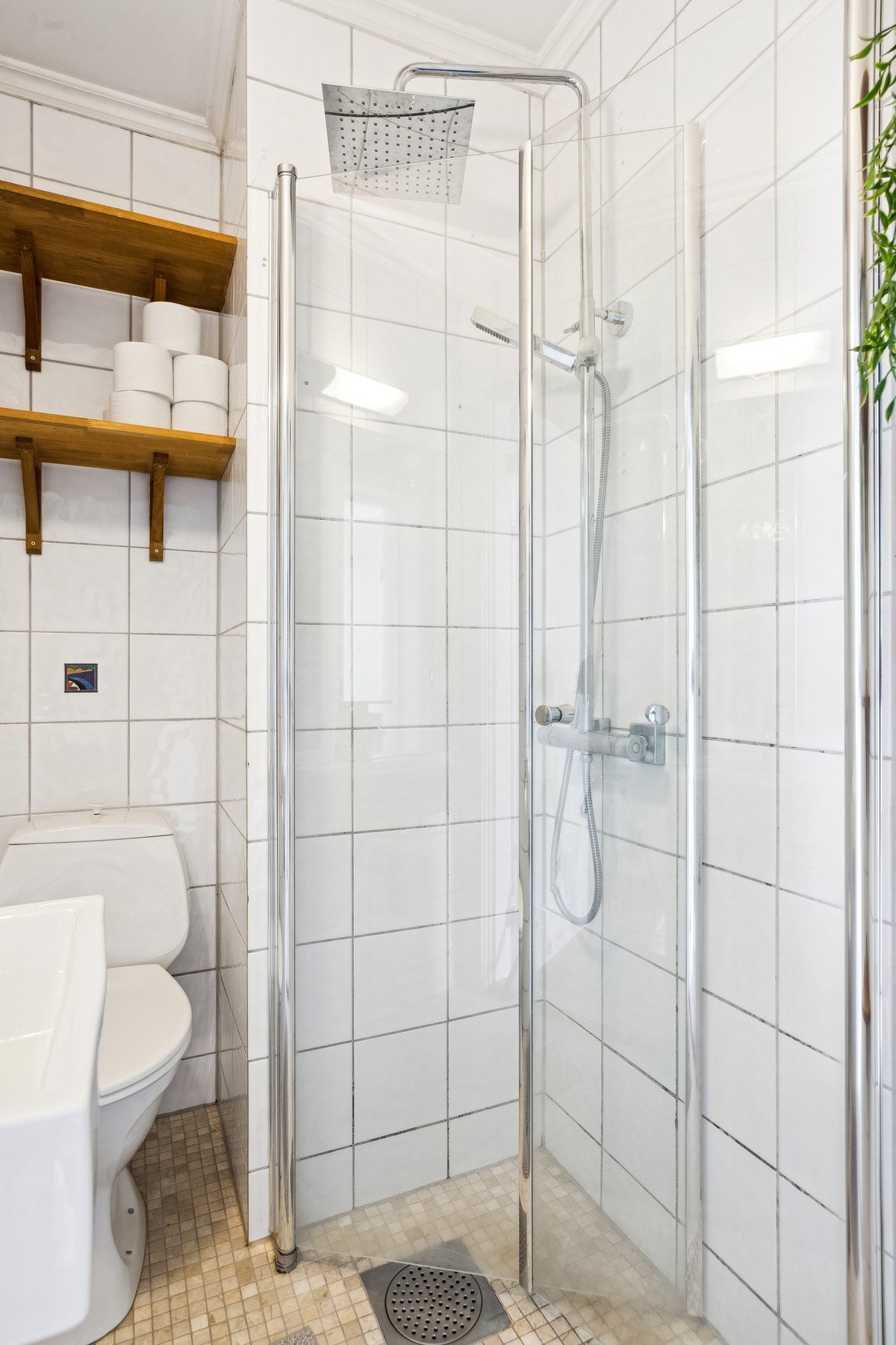 Utstyrt med dusjgarnityr montert på vegg og gulvmontert WC. Galleribilde