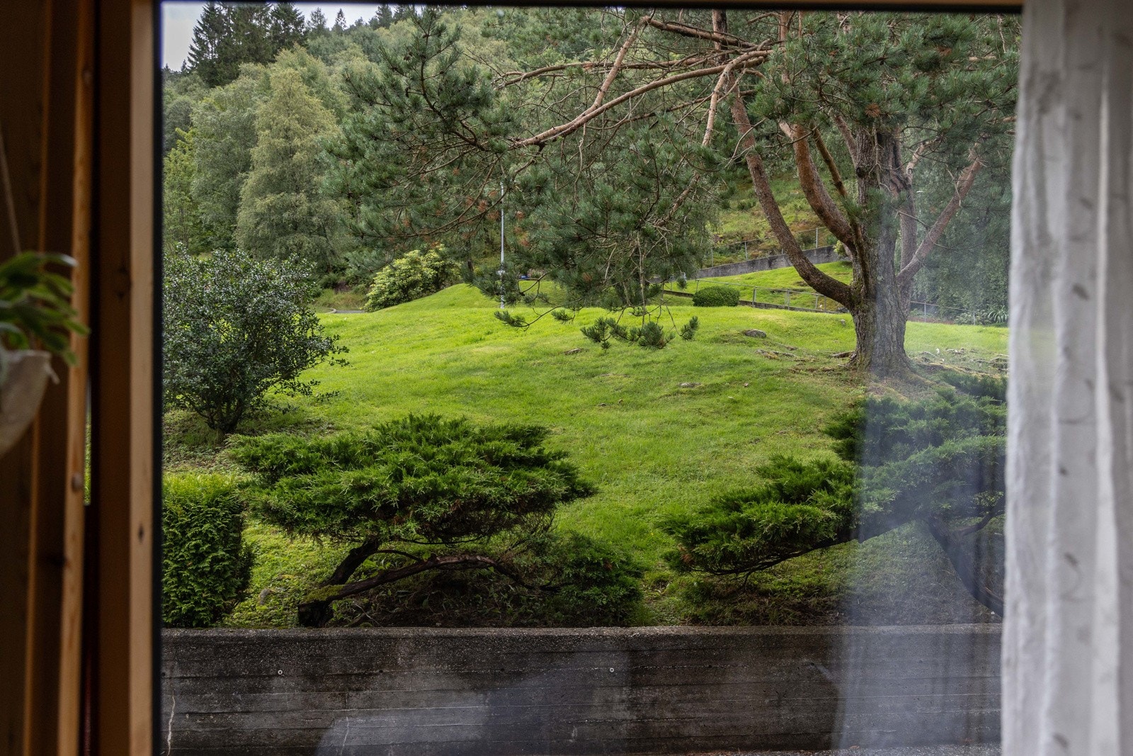 Grønt og frodig fra stuevinduet. Galleribilde