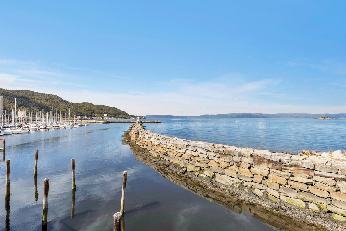 Bussene fra sentrum gjør det enkelt å reise til og fra universitetene i Trondheim! Galleribilde