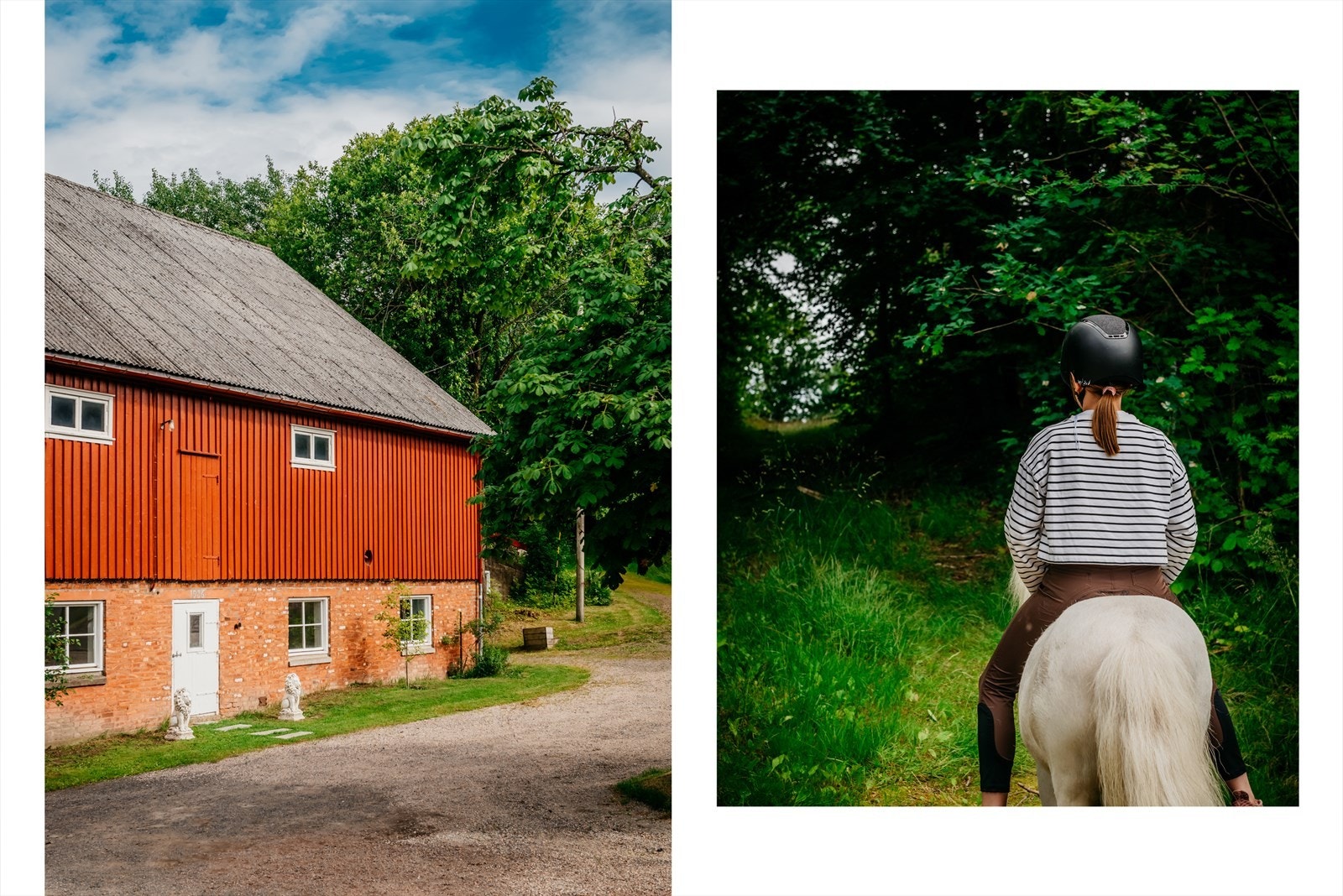Det er mange flotte områder for tur og for ridning Galleribilde